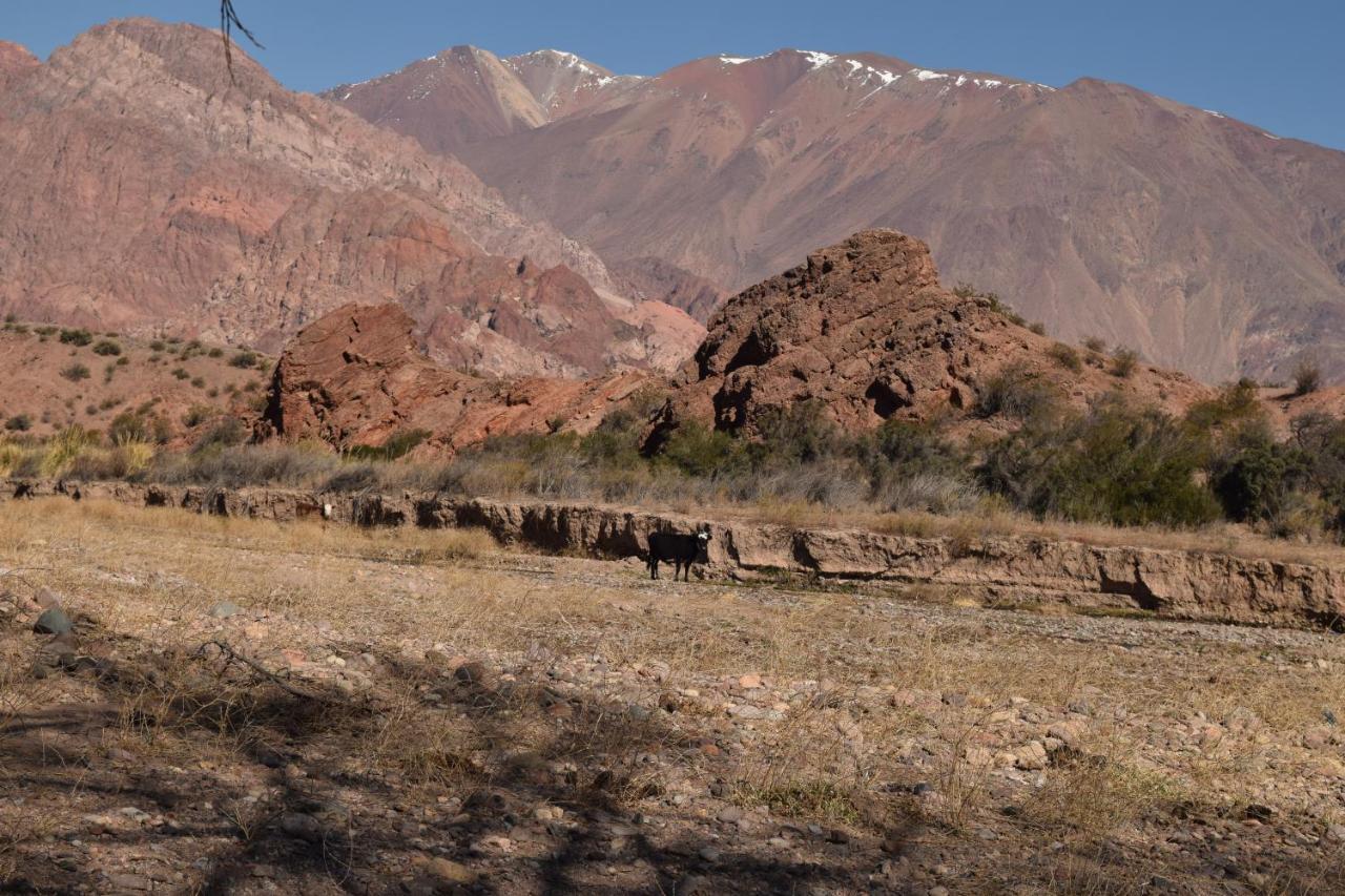 Cabanas De Los Andes อุสปายาตา ภายนอก รูปภาพ